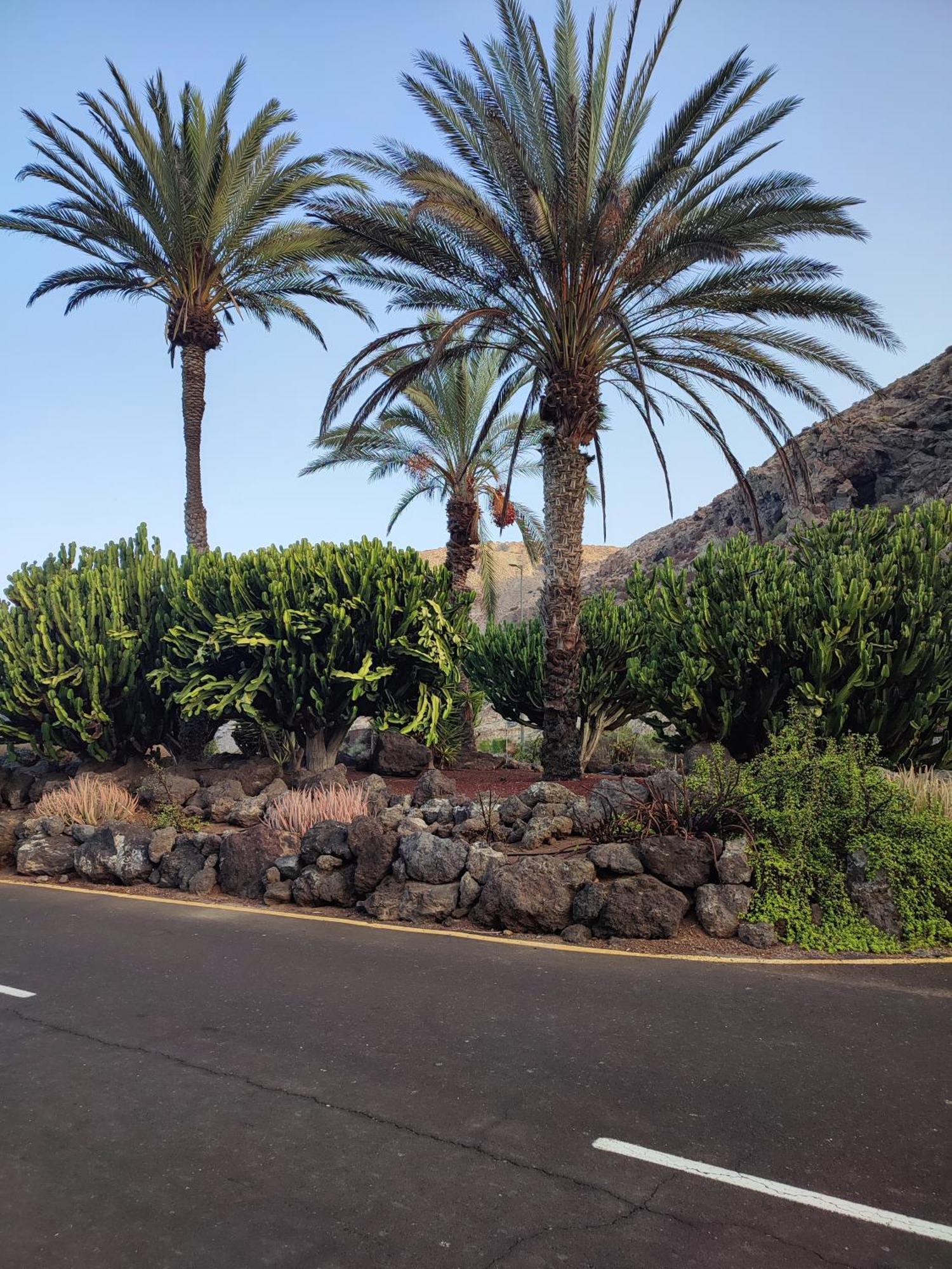 Margherita House Tenerife, Wonderful Ocean View 팔름-마르 외부 사진