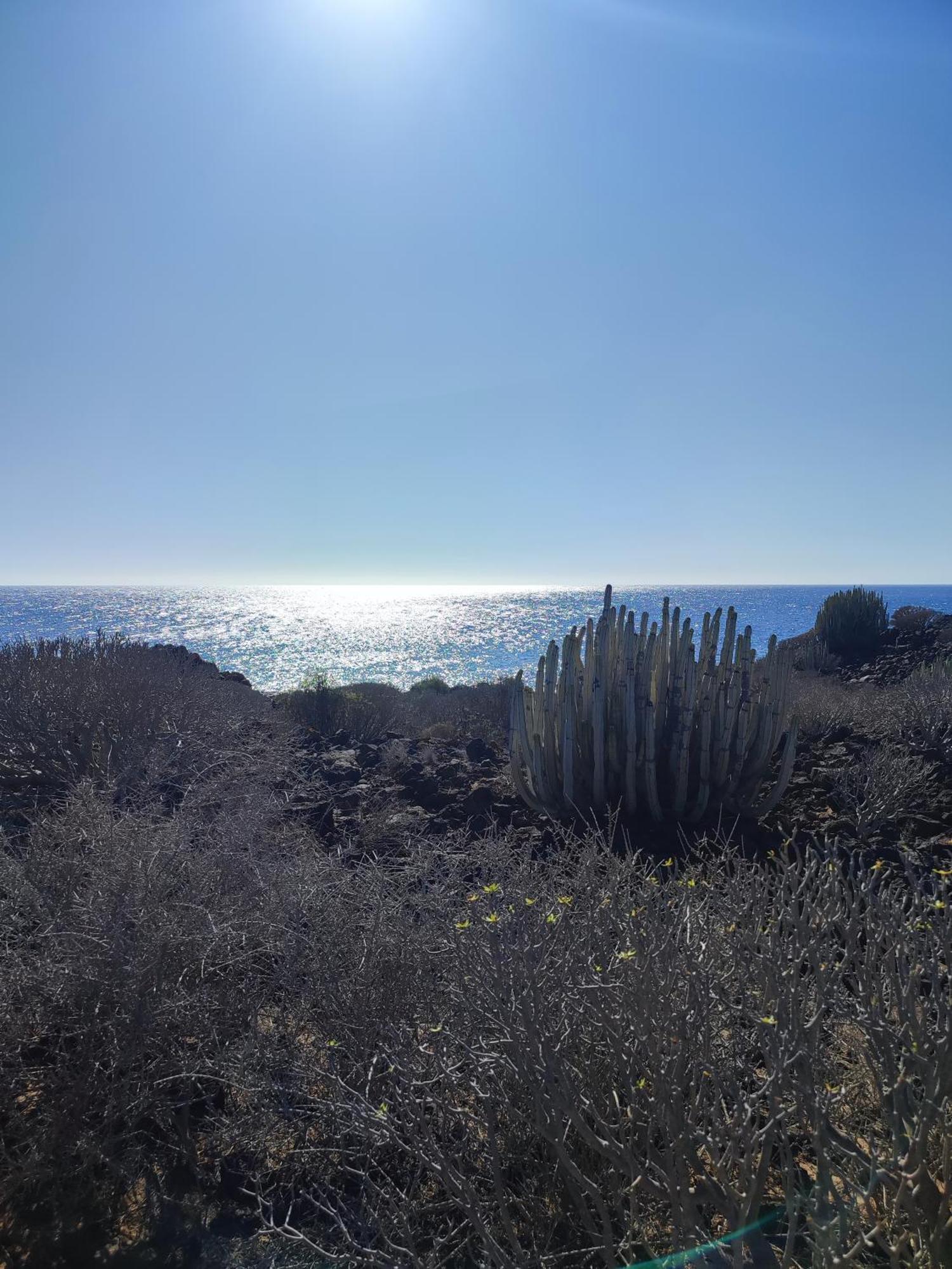 Margherita House Tenerife, Wonderful Ocean View 팔름-마르 외부 사진